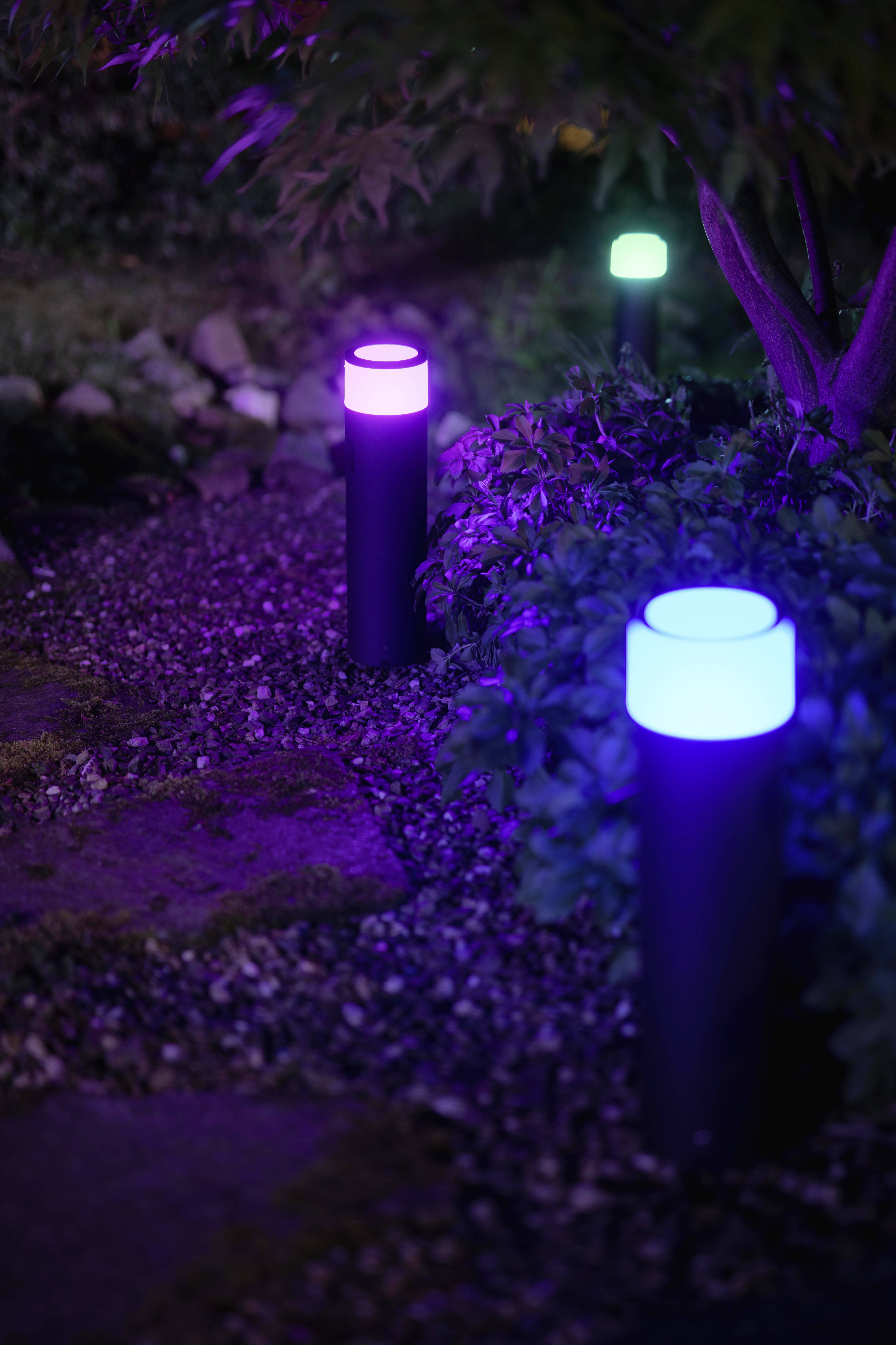 Trois luminaires de jardin colorés éclairent un sentier la nuit, entourés de plantes. Une lampe brille en violet, une autre en bleu et la dernière en vert.