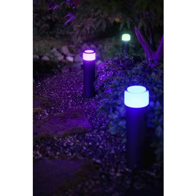 Trois luminaires de jardin colorés éclairent un sentier la nuit, entourés de plantes. Une lampe brille en violet, une autre en bleu et la dernière en vert.