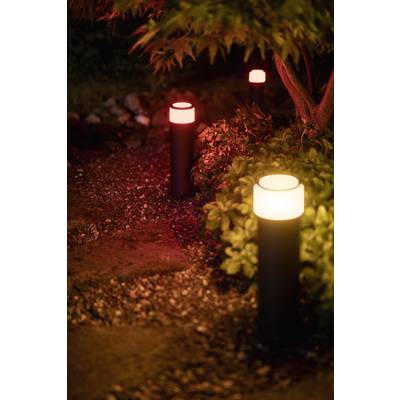 Trois lampes de jardin à lumière chaude illuminent un chemin de gravier bordé de plantes au crépuscule.