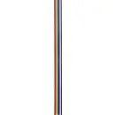 TRU COMPONENTS TC-7638564 Câble de données 10 x 0.16 mm multicolore 10 m