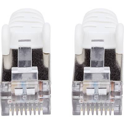 Deux fiches Ethernet blanches côte à côte, face avant montrant des contacts dorés, adaptées aux connexions réseau.