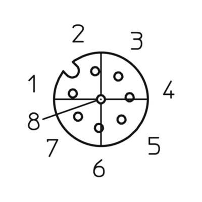 Diagramme de type 'horloge de fromage' : Cercle divisé en 8 sections. Numéros de 1 à 8 à l'extérieur dans le sens des aiguilles d'une montre. Des points à l'intérieur.