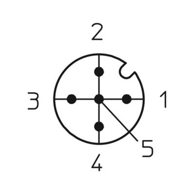 Diagramme d'une fiche à cinq broches avec des positions numérotées de 1 à 5 représentant les contacts électriques.