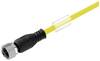 Connecteur confectionné pour capteurs/actionneurs Weidmüller SAIL-M12BG-4-0.3UGE 1092920030 M12 30.00 cm Nombre de pôles: 4 1 pc(s)