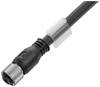 Connecteur confectionné pour capteurs/actionneurs Weidmüller SAIL-M12BG-12S1.5U 1424270150 M12 Femelle 1.50 m Nombre de pôles: 12 1 pc(s)