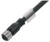 Connecteur confectionné pour capteurs/actionneurs Weidmüller SAIL-M12BG-12S8.0U 1424270800 M16 3 m Nombre de pôles: 12 1 pc(s)