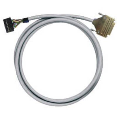 Un câble gris avec plusieurs conducteurs colorés à une extrémité et une large prise à l'autre extrémité, adapté aux connexions informatiques.