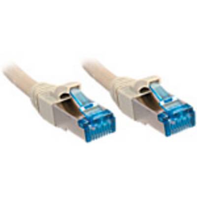 Deux câbles Ethernet beiges avec des connecteurs bleus pour les connexions réseau.