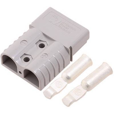 Un connecteur électrique gris et deux contacts métalliques sur un fond blanc, adapté aux applications électroniques ou électriques.