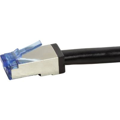 Un connecteur de câble réseau avec un clip bleu, prêt à se connecter à un port réseau, sur un fond blanc.