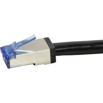 Un câble réseau noir avec une prise RJ45 bleue. La prise est en plastique et en métal, prête pour la transmission de données.