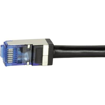 Câble réseau avec connecteur RJ-45 bleu et gaine noire.