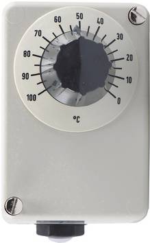 Jumo 60001004  Régulateur de température  0 à 100 °C Relais 10 A