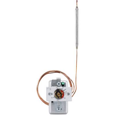 Thermostat avec échelle et capteur de température. Bouton rotatif portant des repères de 0 à 90 degrés, relié à un fin tube métallique.
