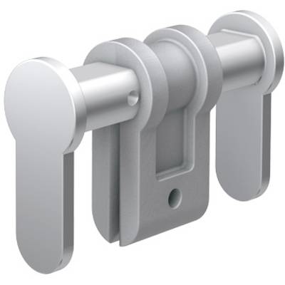 Deux serrures cylindriques grises, montées sur une tige métallique, avec des leviers verticaux, destinées à sécuriser des équipements ou des portes.