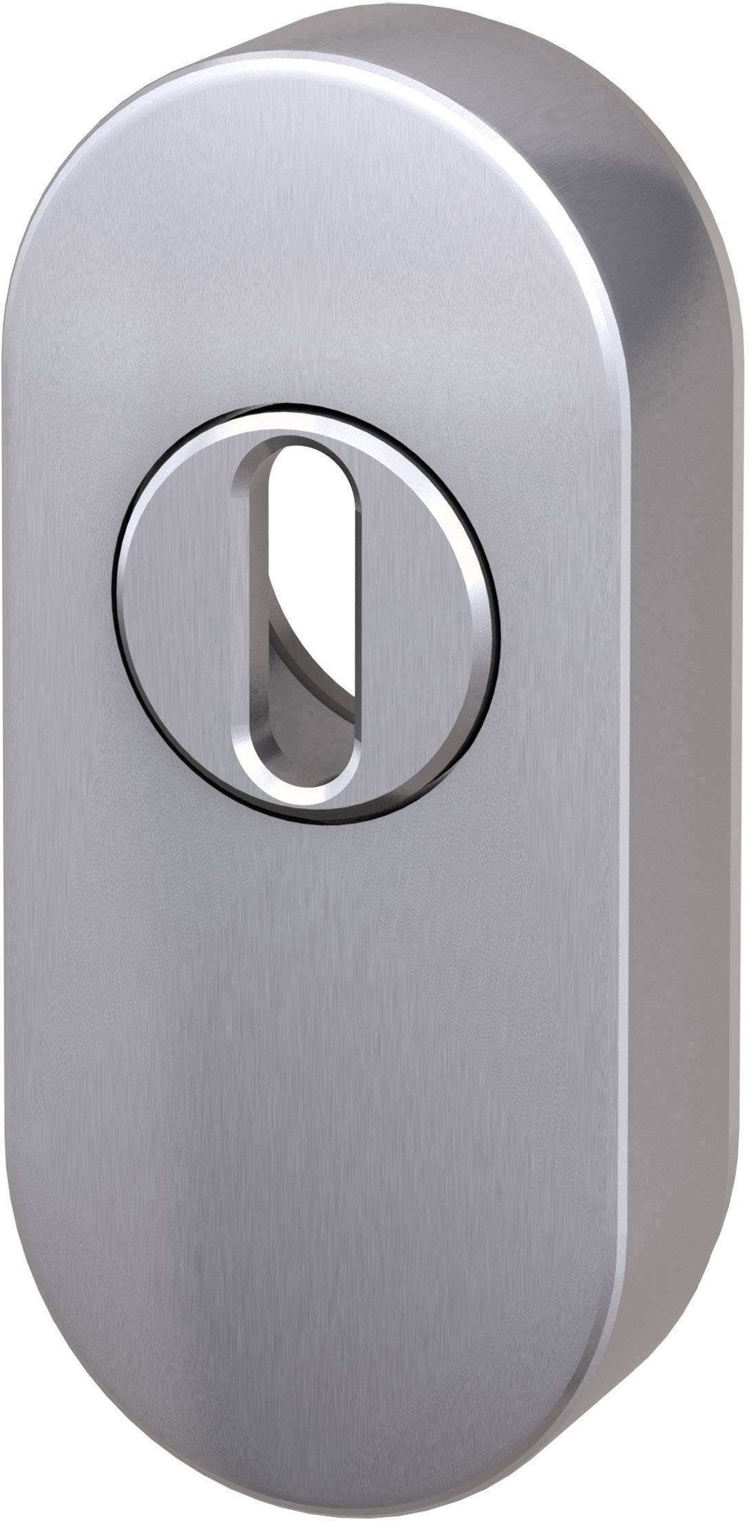 Plaque de porte ovale en métal avec une ouverture en forme de trou de serrure au centre.