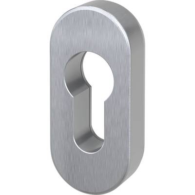 Écusson de serrure en métal argenté de forme ovale avec découpe de serrure ; typiquement utilisé comme revêtement de protection pour les trous de serrure.