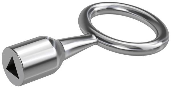 Basi 301D-7 Clé forée argent