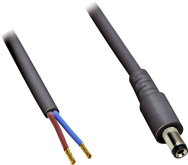 Un câble électrique coupé avec des fils de cuivre apparents à gauche et une fiche électrique intacte à droite, tous deux en gros plan.