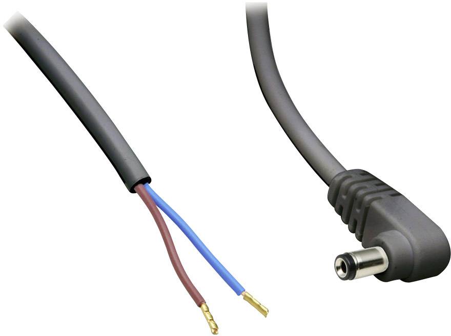 Un câble dénudé avec deux fils sur le côté gauche et une fiche creuse sur le côté droit, adapté pour les connexions électriques.