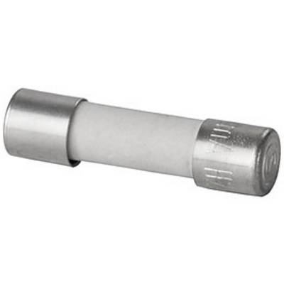 Petit fusible en verre cylindrique avec capuchons métalliques aux deux extrémités, destiné à prévenir les surcharges électroniques.