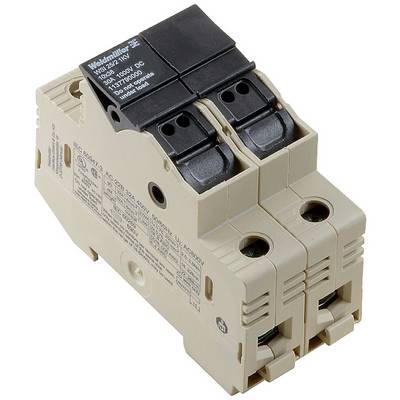 Un disjoncteur bipolaire en beige et noir avec des spécifications techniques sur la face avant, utilisé pour la sécurité des circuits électriques.