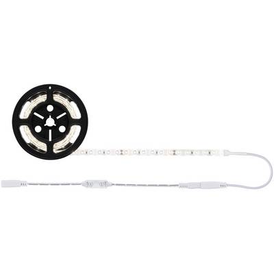 Rouleau d'un ruban LED sur une bobine noire, avec des lumières LED individuelles et un câble de connexion blanc, adapté à l'éclairage.