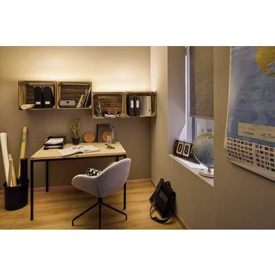 Un bureau confortable avec un bureau, une chaise et des étagères ; un globe et un calendrier sur le rebord de la fenêtre ; un éclairage lumineux crée une atmosphère chaleureuse.