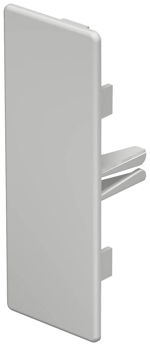 Un élément rectangulaire blanc en plastique avec deux crochets au dos, probablement un élément de couverture ou de connexion.
