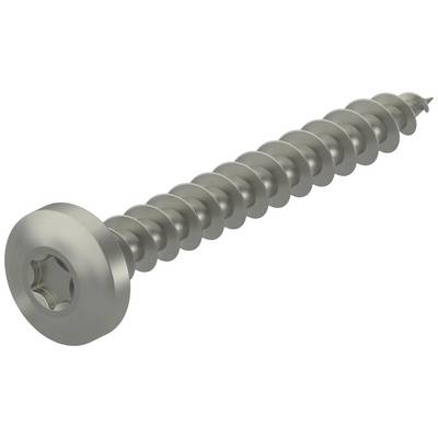 Une vis en argent, spiralée, avec une tête ronde et une tige de conduite en étoile, sur un fond clair.