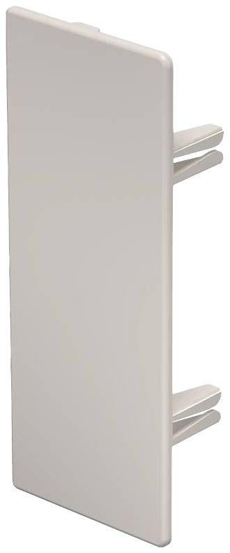 Couvercle en plastique blanc avec deux supports saillants, probablement destiné à des prises électriques ou des goulottes de câblage.