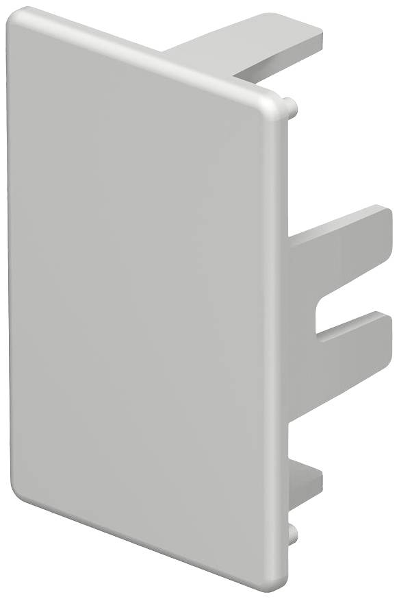 Couvercle rectangulaire en plastique blanc avec deux chevilles de fixation, probablement destiné à des interrupteurs électriques ou des prises de courant.