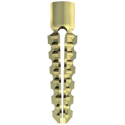Composant métallique doré aux bords dentelés, avec une tête cylindrique et un corps étroit et allongé, ressemblant à une vis ou à un implant.