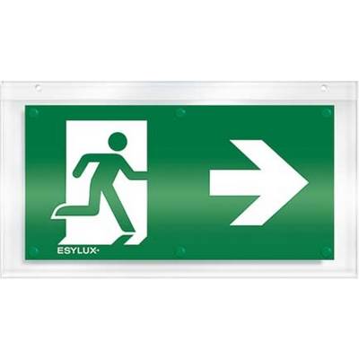 Panneau indicatif vert avec un pictogramme blanc représentant une personne courant vers la droite. Symbole de sortie de secours ou de voie d'évacuation.