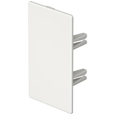 Plaque de couverture blanche rectangulaire avec trois chevilles de fixation, accessoire possible pour prises ou interrupteurs, représentée de profil.