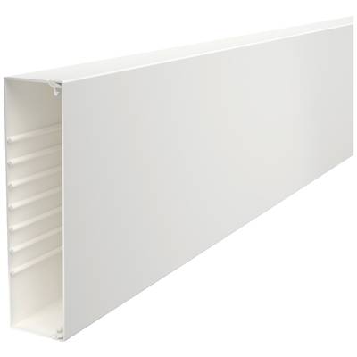 Un canal en plastique blanc de forme rectangulaire avec plusieurs nervures intérieures, adapté pour le recouvrement des câbles.