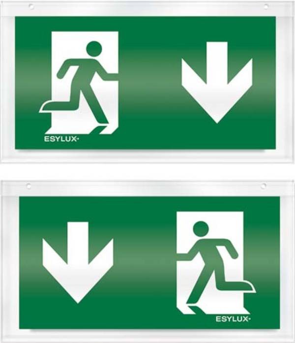 ESYLUX EN10079085 Pictogramme   Sortie