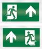 ESYLUX EN10032622 Pictogramme