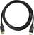 Un câble DisplayPort noir avec deux fiches pour connecter des écrans et des ordinateurs.