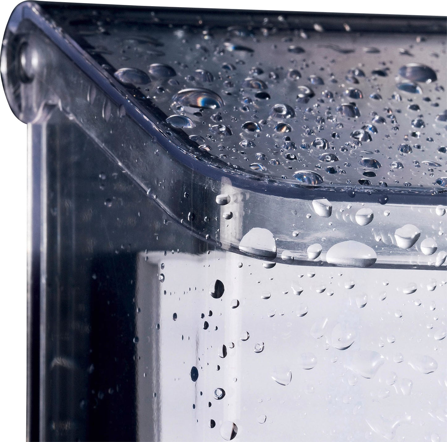 Un récipient transparent avec des gouttelettes d'eau sur sa surface, indiquant un arrosage récent ou une humidité présente.