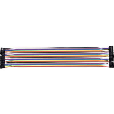 Câbles de connexion colorés disposés en parallèle. Parfaits pour les projets électrotechniques et les circuits.