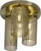 Brilliant 90061/18 Gracian Plafonnier LED G9 99 W laiton (brossé)
