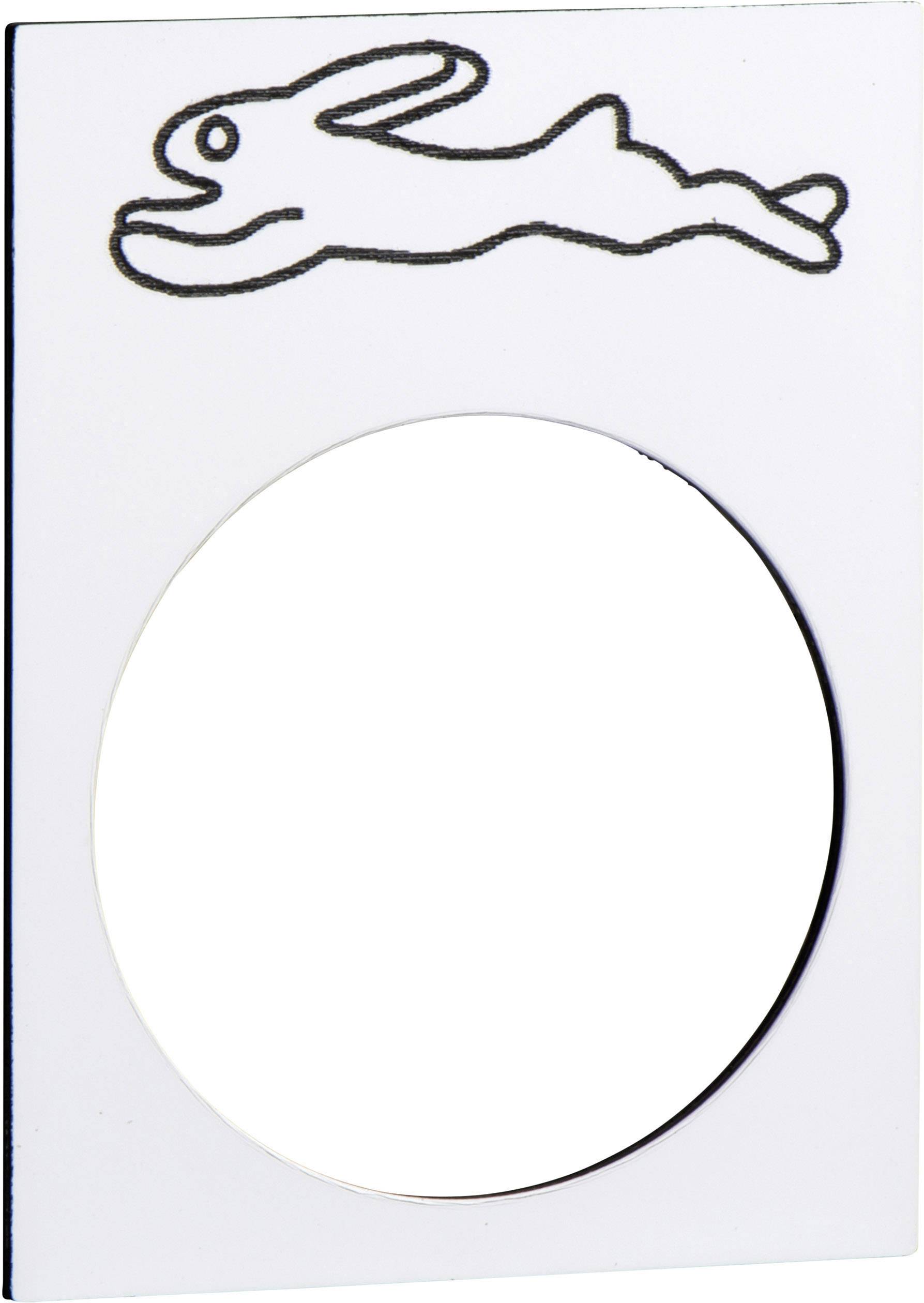 Schneider Electric ZB2BY4934 ZB2BY4934 Plaquette de repérage (L x l) 40 mm x 30 mm blanc 1 pc(s) Piece