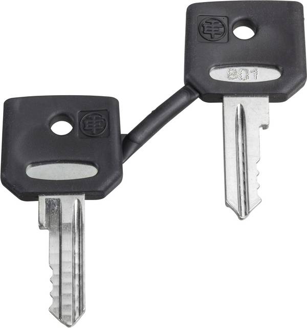 Schneider Electric ZBG421E ZBG421E Clé de rechange 1 pc(s) Piece