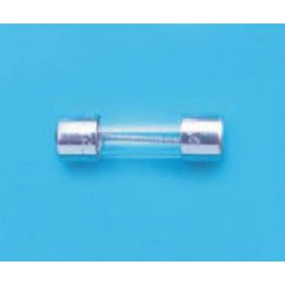 Micro-fusible Belfuse 5ET 6.3-R 6.3 A 250 V 100 pc(s) Bulk-0