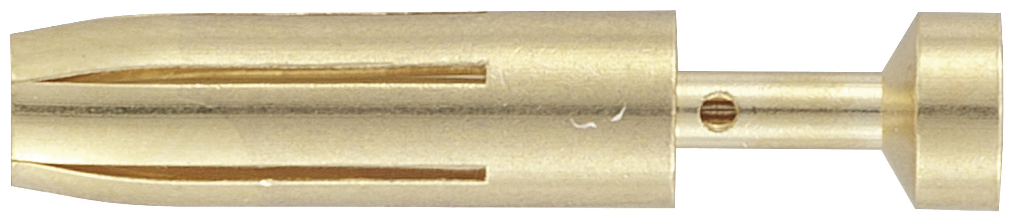 Un goujon métallique doré, de forme cylindrique, pourvu de rainures le long de son corps et d'une ouverture latérale pour la fixation.