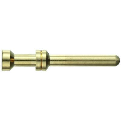 Broche métallique dorée de forme cylindrique, utilisée pour les connexions électriques.