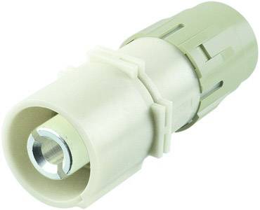 Un adaptateur de tuyau en plastique avec connexion métallique, utilisé dans les installations de tuyauterie.