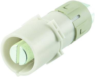 Un cheville en plastique avec une vis métallique, partiellement cachée par un boîtier. Utilisé pour la fixation murale.