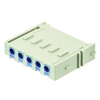 Un bloc de bornes enfichable avec cinq bornes de connexion bleues dans un boîtier gris clair, couramment utilisé dans des applications électriques.